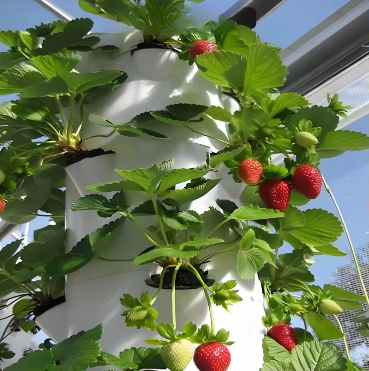 Sistema modular de cultivo hid - Urban Farming Wall reseña y precio